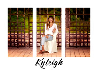 Kyleigh Triptych