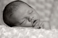 IMG_9356 mocha